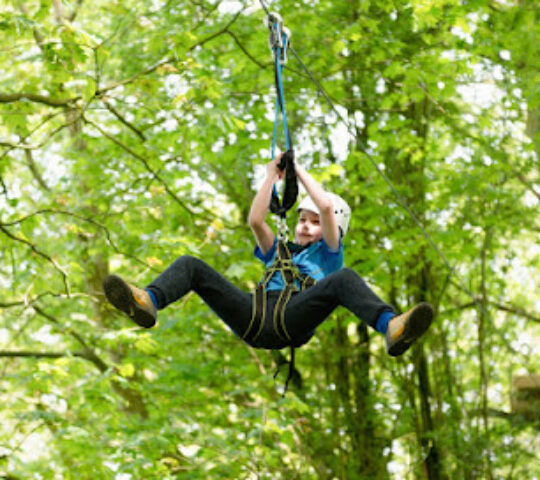 Raven Tree Top Adventure