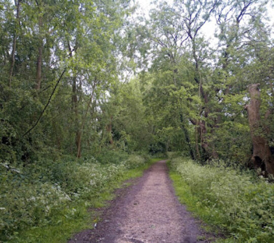 Howden Marsh Local Nature Reserve