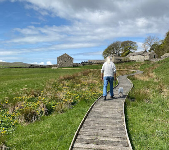 Hannah’s Meadows