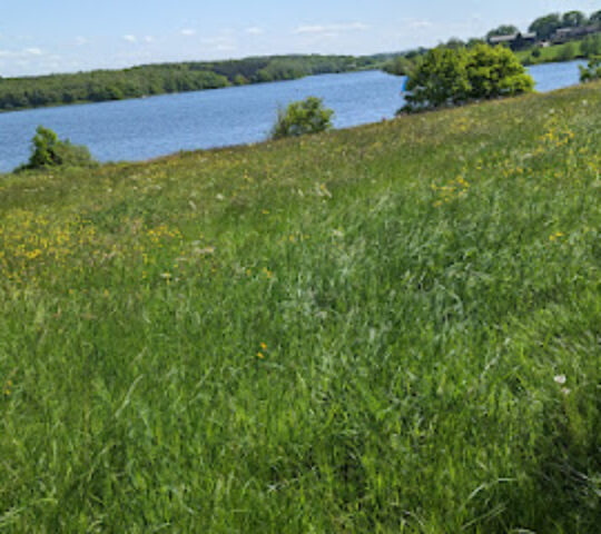 Staunton Harold Reservoir