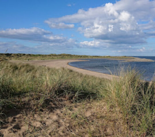 Teesmouth National Nature Reserve