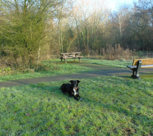 Rivacre Country Park