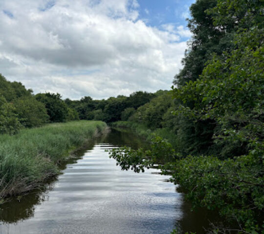 Anderton Nature Park