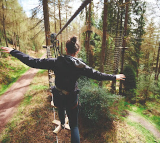Go Ape Bedgebury