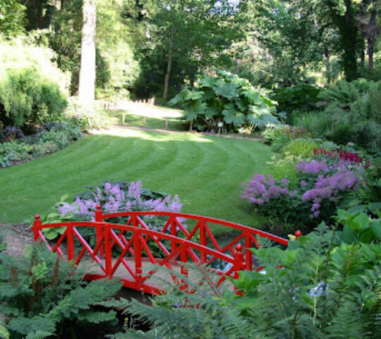 Abbotsbury Subtropical Gardens