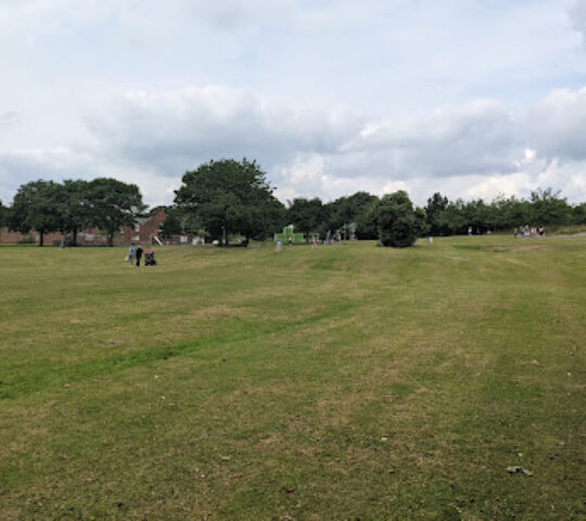 Willington Town Park