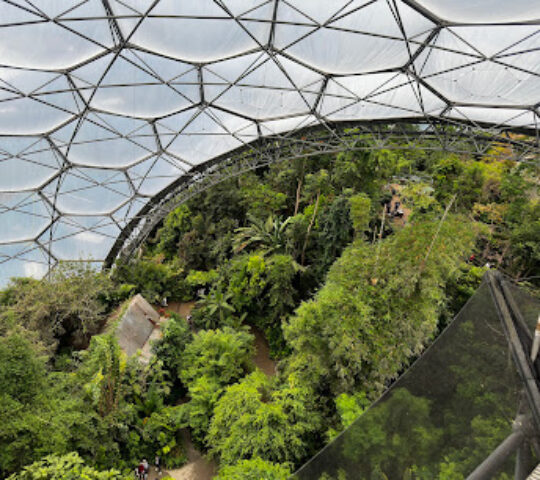 Rainforest Biome