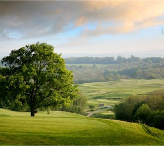 Dale Hill Hotel & Golf Club