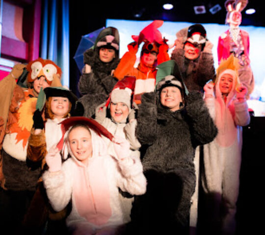 Wellington Arts Association