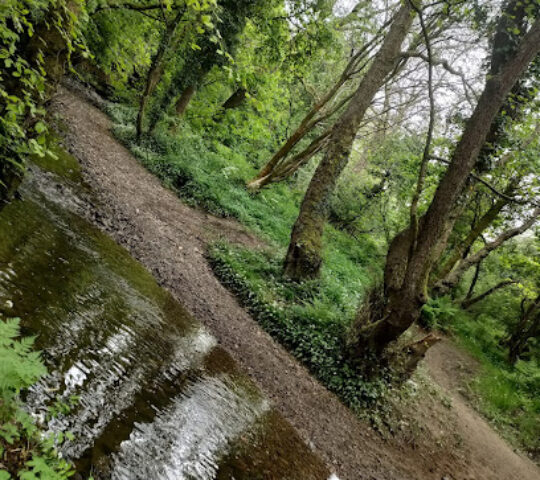 Waldridge Dene