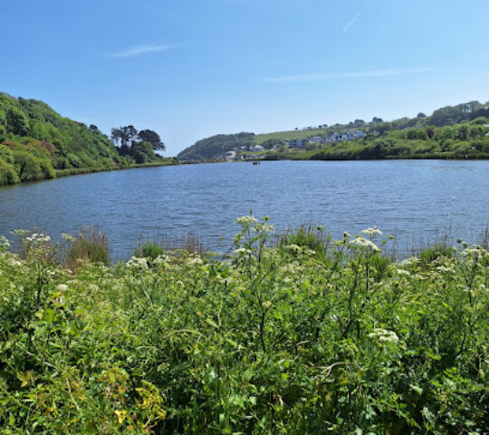 Swanvale Nature Reserve