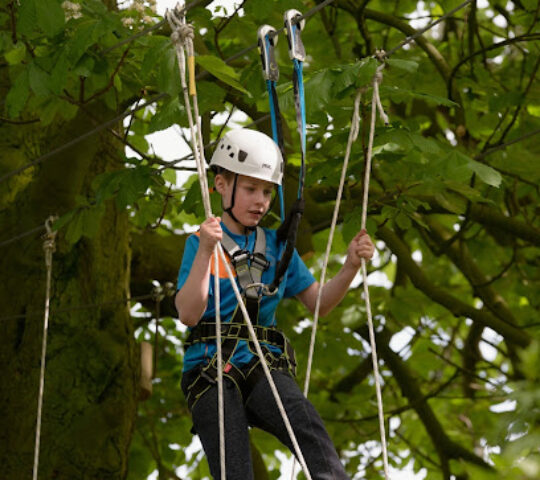 Raven Tree Top Adventure