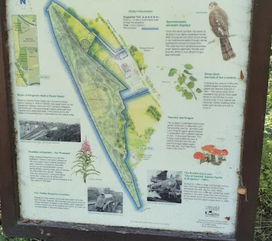 Kingmoor Nature Reserve
