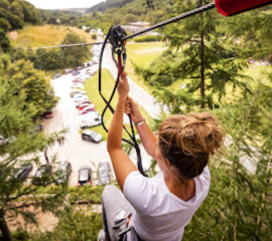 Go Ape Dalby