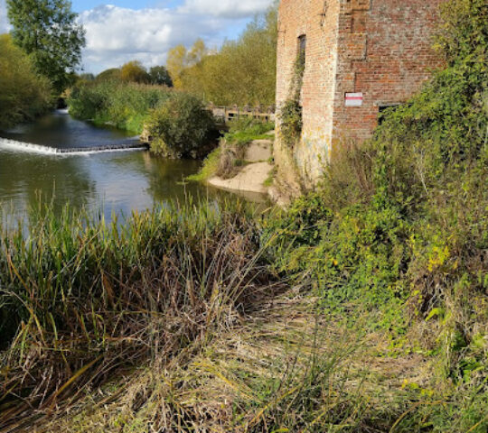 Cutt Mill
