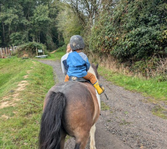 Finley’s Farm and Friends