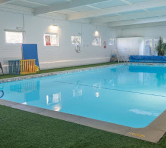 Oaklands Pool
