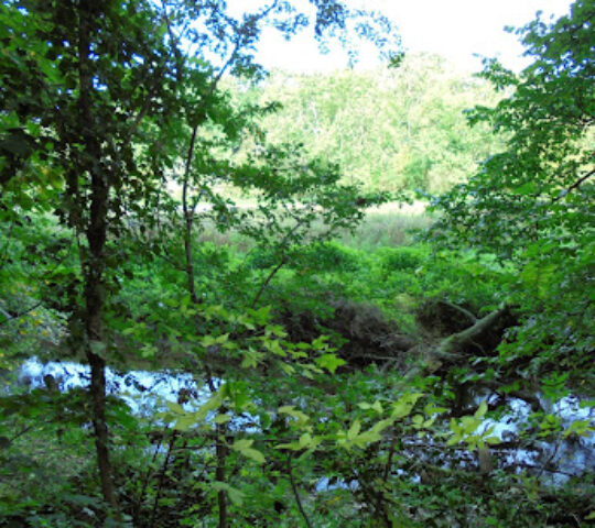 Brockadale Nature Reserve
