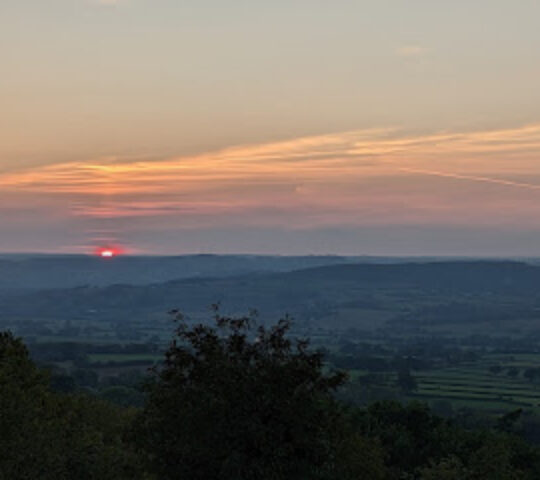 Trinity Hill Local Nature Reserve